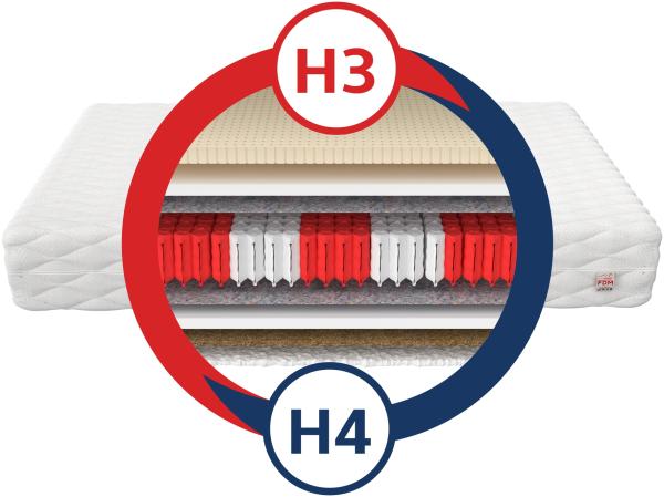Matratze FORGIA 9 Zonen 180 x 200 LATEX Kokos H3 H4 Taschenfederkern 19cm Bild 3