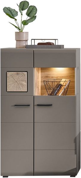Vitrine FUN PLUS II basalt Eiche Altholz 2-türig Glas inkl. LED
