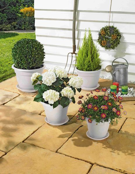 Alpfa Blumentopf-Set inkl. Untersetzer - 8-teilig