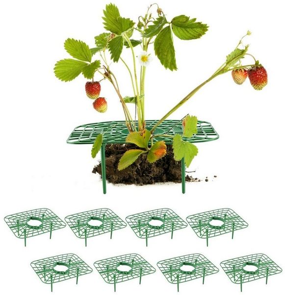 SEEZSSA Blumenständer 8x Erdbeerstützen für Erdbeeren mit 4 Beinen,Erdbeer-Pflanzenständer, Pflanzenregal,Balkon-Gemüseregal,Erhöhung von Obst/Gemüse,Kunststoff