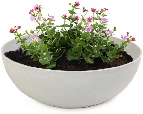 matches21 HOME & HOBBY Blumentopf Pflanzschalen für draussen Dekoschalen rund beige grau 20 cm (1 St), Blumen-Schale als wetterfeste Friedhof-Schale Grab-Schmuck Grabschale