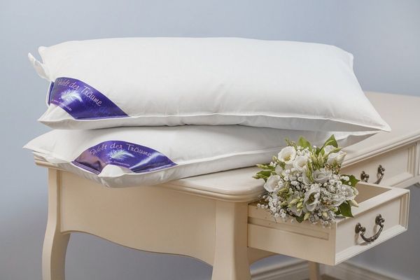 Welt der Träume Daunenkissen Daunenkissen Kissen Kopfkissen Kinderkissen Daunen 40x80 750 Gr, Füllung: 60% Daunen/ 40% Federn, Made in Europe
