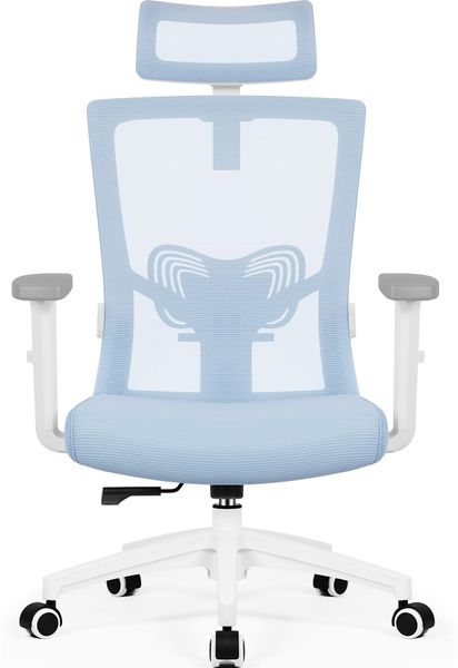 Daccormax Bürostuhl Ergonomisch, mit verstellbarer Kopfstütze, Lendenwirbelstütze & Wippfunktion, Mesh blau, 70 x 70 x 128 cm