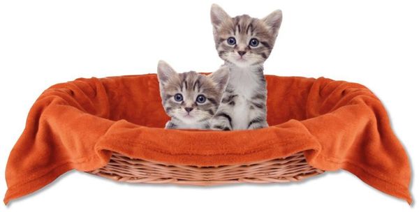 Haustierdecke Katzendecke Kuscheldecke Tierdecke , angenehm und super weich in vielen verschiedenen Farben erhältlich (80x120 cm / terracotta - rostbraun)
