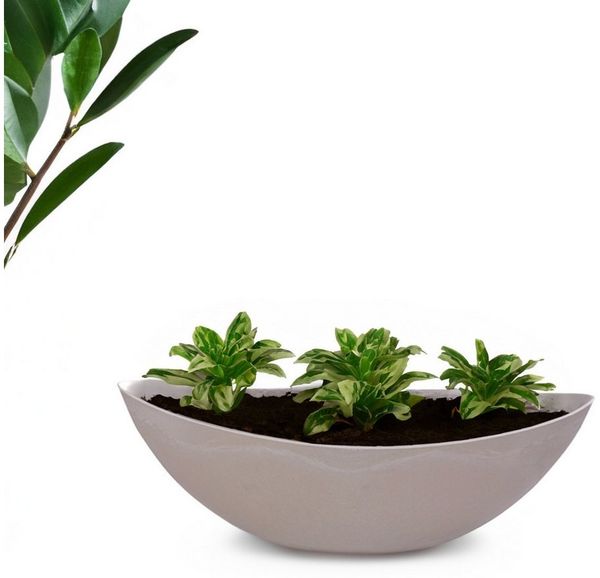 matches21 HOME & HOBBY Blumentopf Große Pflanzschale oval 39 cm für draussen Dekoschale sand beige (1 St), Blumen-Schale als wetterfeste Friedhof-Schale Grab-Schmuck Grabschale Bild 4