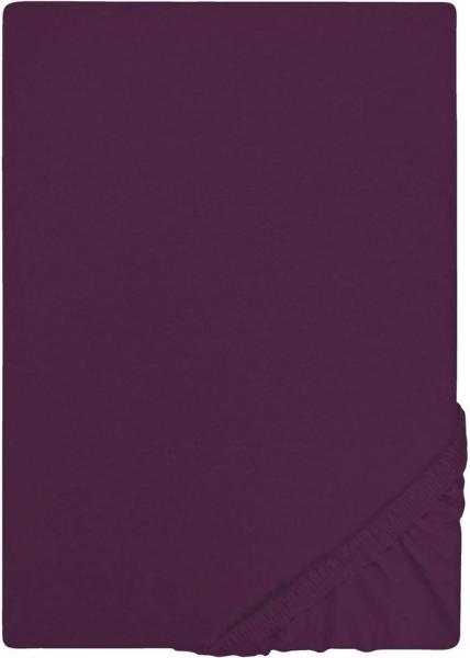 Castell Jersey-Stretch-Spannbetttuch, Violett, 1x 90x190 cm - 100x200 cm, 90x200 cm