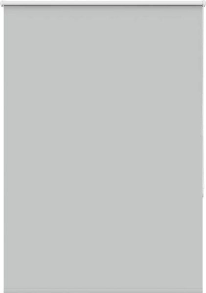 vidaXL Verdunkelungsrollo Hellgrau 95x150 cm Stoffbreite 90,7 cm 4011387