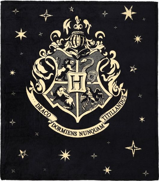 Wohndecke Kuscheldecke mit Hogwarts Wappen 130 x 150 cm, Harry Potter, Geschenk für Kinder zu Geburtstag und Weihnachten