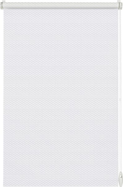 Gardinia EasyFix Rollo weiß 100 x 160 cm Shaun