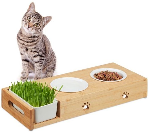 Katzen Futterstation & Katzengras Schale 10046343