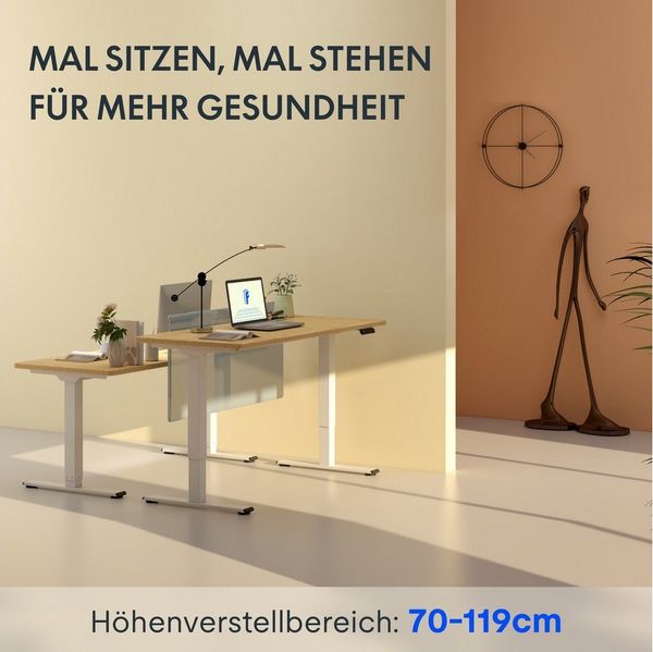 FLEXISPOT Schreibtisch Basic Plus höhenverstellbarer Schreibtisch mit Premium-Zubehör-Set (2 Motore & 2-Fach-Teleskop & 4 Höhenspeichertasten), MIT 19MM Bambus Tischplatte, 140/160/180