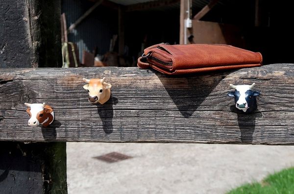 Wandhaken Kleiderhaken Garderobe Haken 3'er Set THE ZOO COW 1111000