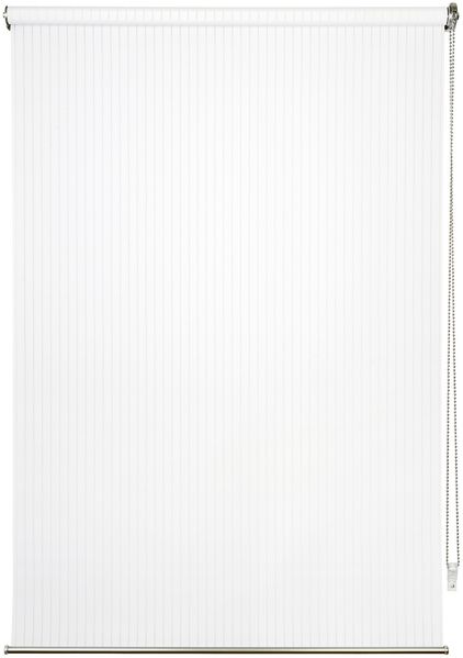 ondeco Tageslicht-Rollo, Design Stripe Wand-Deckenmontage, Sichtschutz Seitenzugrollo Sonnenschutz, Fenster innen lichtdurchlässig und Blickdicht - 60x160 cm - Weiß