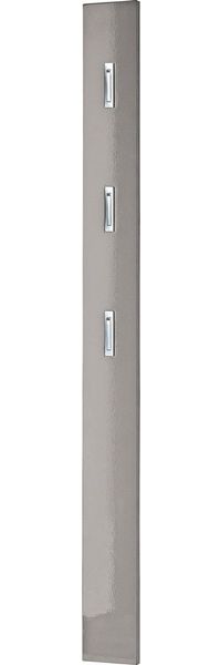 Germania Garderobenpaneel 3255-186, mit DREI ausklappbaren Kleiderhaken aus Metall, in Grau Hochglanz, 15 x 170 x 3 cm (BxHxT)