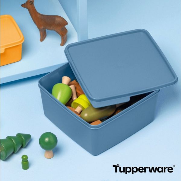 TUPPERWARE Vorratsdose Basic Line 2,5 Liter