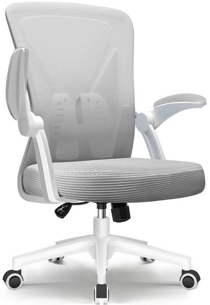 Adormii Bürostuhl Bürostuhl mit klappbaren Armlehnen,Ergonomischer Bürostuhl (Drehstuhl 360° mit Höhenverstellbarer Lendenwirbelstütze,Verstellbarer gepolsterten Armlehnen,Wippfunktion bis 125°,geräuscharmen Rollen,Höhenverstellbar), Atmungsaktiver Net...