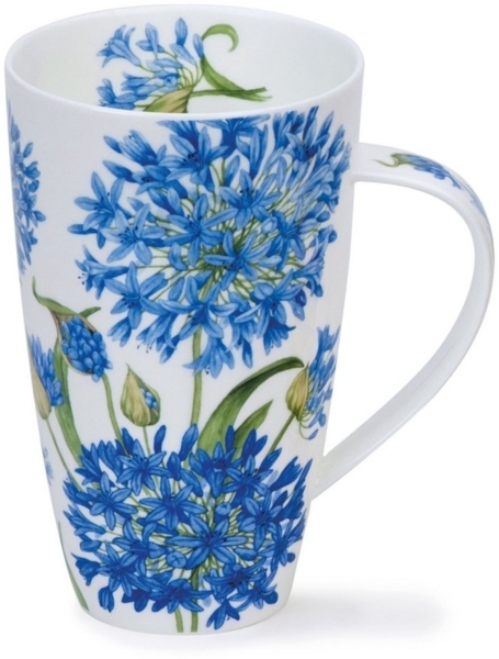 Becher Henley, "Agapanthus"