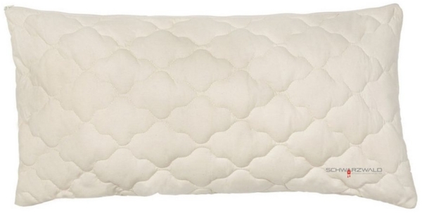 OBB Kopfkissen OBB Hirsekissen Nana Hirseschalen 40x60 cm