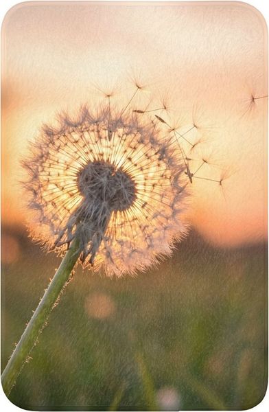 OnlyWow WC-Vorleger Löwenzahn - Sonnenuntergang - Feld, Höhe 10 mm, Polyester, Rechteckig, WC Teppich, Toilettenvorleger, Toilettenteppich, Badematte 40x60 cm