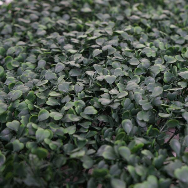 Wandfliese HWC-L78, Sichtschutz Windschutz Verkleidung für Terrasse/Balkon, 4x je 50x50cm = 1m² ~ Buchs grün Bild 4