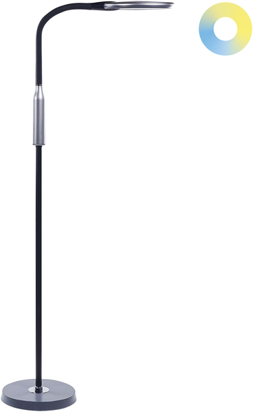 LED Stehlampe CASSIOPEIA mit Dimmer Metall Schwarz