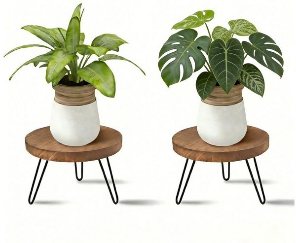 BlingBin Blumenhocker Pflanzenständer Holz, Blumenständer Rund Blumenhocker mit 3 Füßen (2 Stück, 2 St, 25,4 x 25,4 x 17,8 cm), für Verschiedene Topfgrößen Pflanzenregal Pflanzenhocker für Haus