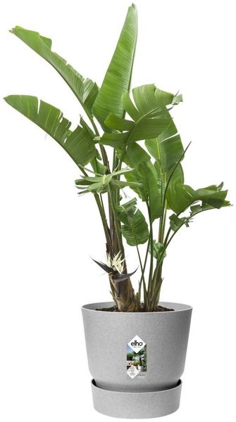Elho Pflanztopf Greenville Ø 47 x 44 cm living beton