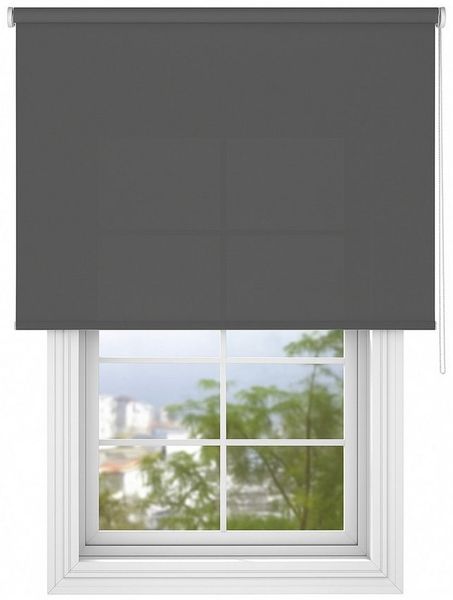 Seitenzugrollo Tageslicht-Rollo Basic GL, Deco-Raum, blickdicht, Wand- und Deckenmontage, einfache Selbstmontage, zum Schrauben, lichtdurchlässig & blickdicht, stufenlos, einfache Montage