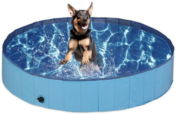 Relaxdays Blauer Hundepool