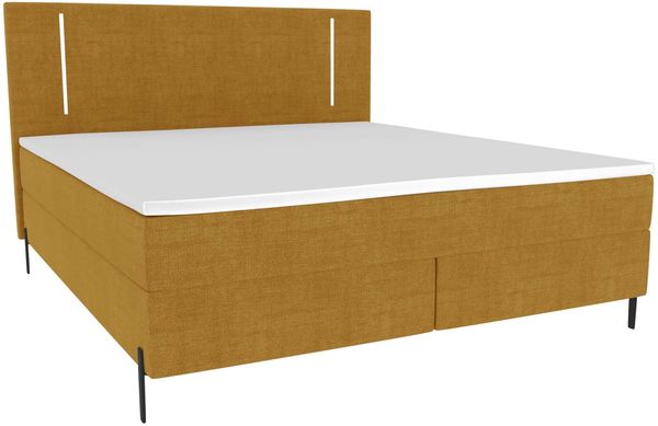 Boxspringbett Titan - Samtstoff - gold - 160x200 cm