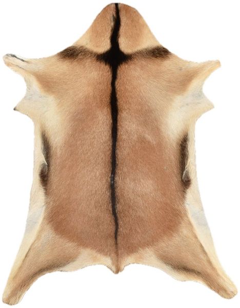 KUHFELL online & NOMAD Fellteppich ECHTES ZIEGENFELL BRAUN BEIGE DEKOFELL 80 x 60 cm