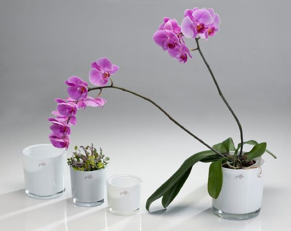 Sandra Rich Übertopf SANDRA RICH, Glasübertopf WEISS "cylindrical heavy Pot H 14cm/14cm"