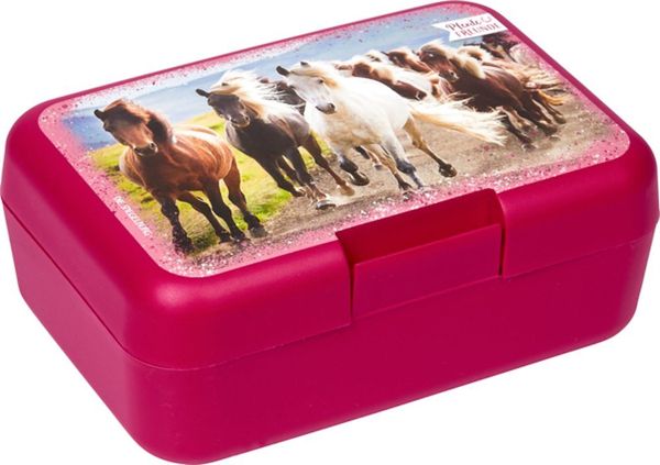 COPPENRATH DIE SPIEGELBURG Lunchbox Butterbrotdose Brotdose Pferde Pferdefreunde Schule Kiga Vesperdose, Kunststoff, (Set, 2-tlg, 1), stapelbar
