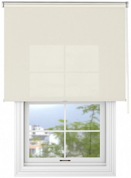 Seitenzugrollo Tageslicht-Rollo Basic GL, Deco-Raum, blickdicht, Wand- und Deckenmontage, einfache Selbstmontage, zum Schrauben, lichtdurchlässig & blickdicht, stufenlos, einfache Montage