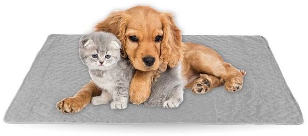 Bestlivings Tierdecke gesteppte Haustierdecke S-XL, Polyester, Haustiermatte - perfekt für Katzen bis große Hunde - Steppdecke