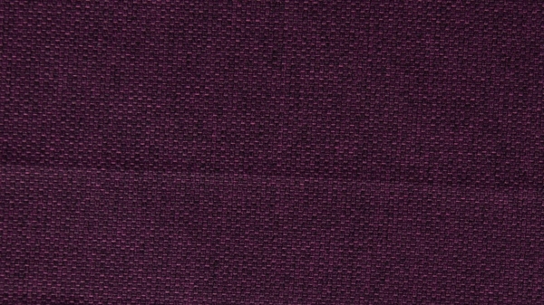 Meisterbetten Boxspringbett Pino 120x200 in WT-Brombeere, Matratzenbezug Nano, Ergoflex-Topper Bild 2