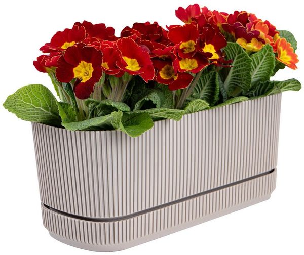 KONZEPT Balkonkasten für Balkon mit Untersetzer 3L Blumentopf Balkonkasten (frostbeständig, UV-beständig, wetterbeständig, pflegeleicht), gerippte Textur