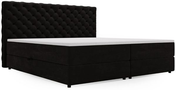 GRAINGOLD Bergamo Bett 160x200, Boxspringbett mit Bettkasten und Lattenrost, Velour-Stoff, Schwarz Bild 2