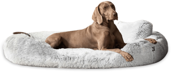 PAMELA SHAGGY Orthopädisches Hundebett - 175x115cm, 20 Weißgrau