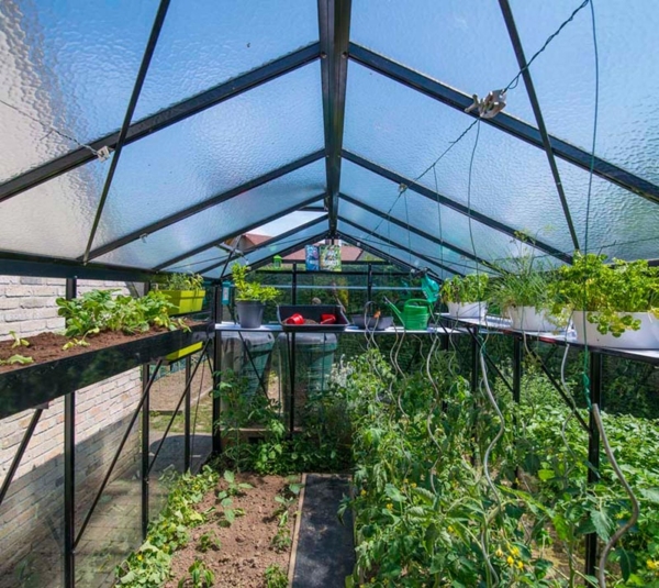 ACD Glas Gewächshaus R210H-Alu | Silber | Bild 4