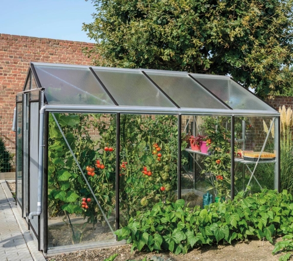 ACD Glas Gewächshaus R210H-Alu | Silber | Bild 3