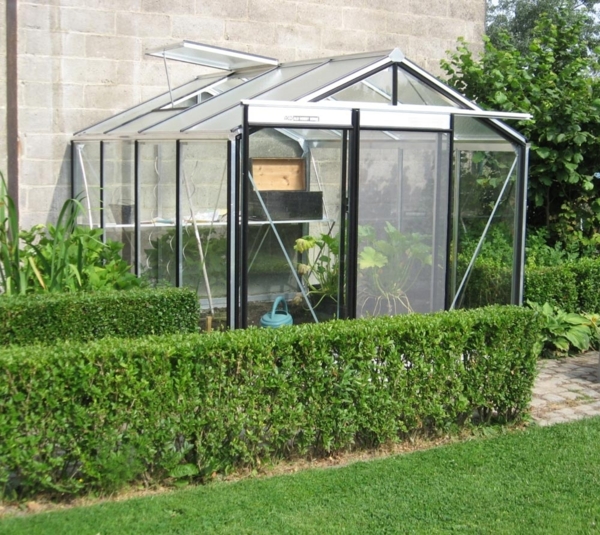 ACD Glas Gewächshaus R210H-Alu | Silber | Bild 2