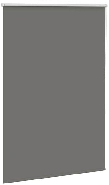 vidaXL Verdunkelungsrollo Grau 100x175cm Stoffbreite 95,7 cm Polyester 4011154 Bild 3
