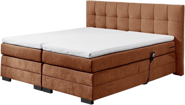 Boxspringbett >TALENA< Liegefläche 180x200, Motorverstellung, cognac - 202x113x211cm (BxHxT)