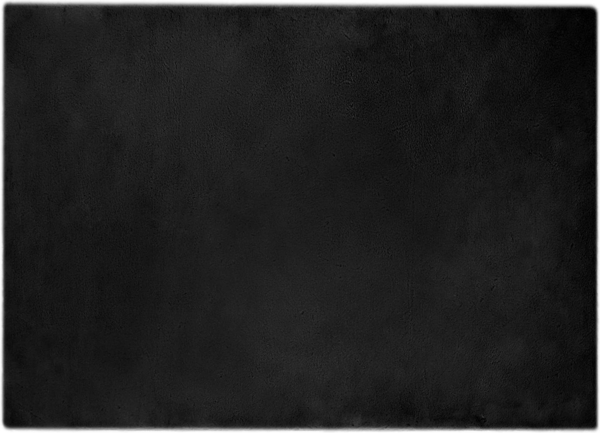 vidaXL Kunstfell Hasen Teppich Olite Schwarz 240 x 340 cm Polyester 42021728