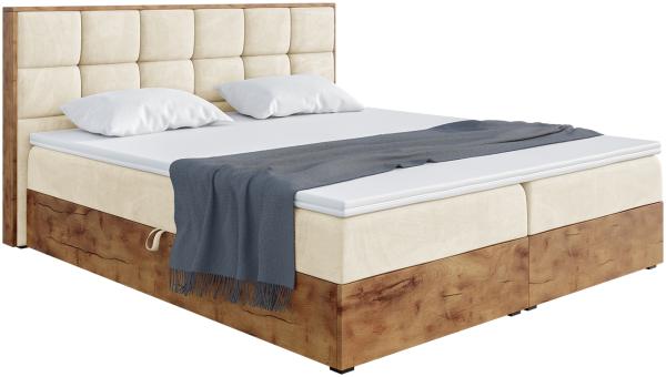 MEBLINI Boxspringbett LOFTY 1 140x200 cm mit Bettkasten - H3/Beige Samt Polsterbett - Doppelbett mit Topper & Taschenfederkern-Matratze Bild 2