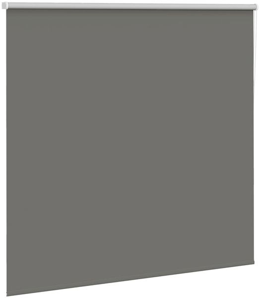 vidaXL Verdunkelungsrollo Grau 165x175cm Stoffbreite 161,6cm Polyester 4011167 Bild 3