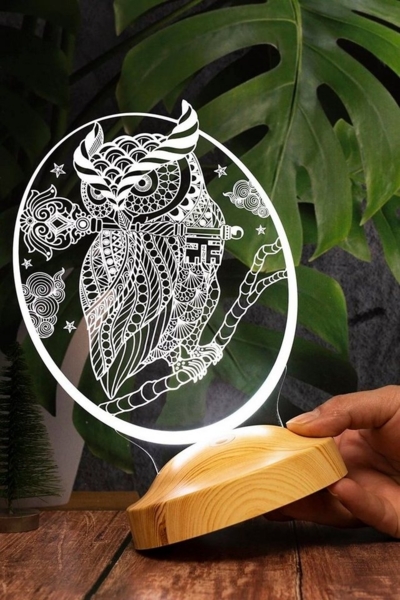 Geschenkelampe LED Nachttischlampe Eule Tier 3D Nachtlicht mit Gravierung Geschenk für Tierliebhaber, Leuchte 7 Farben fest integriert, Eule Fans, Geschenk für Tierfreunde Bild 2
