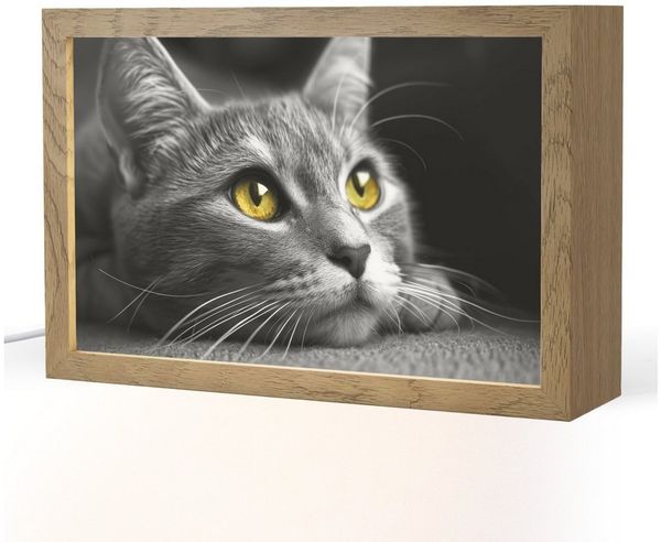 OnlyWow Tischleuchte Lightbox Katze - Schwarz - Weiß - Tiere - Natur, Dimmbar, Farbwechsel, LED, Warmweiß, Kaltweiß, Neutralweiß Einstellbar, Tischlampe, Schreibtischlampe, Desk, Dimmbar, mit Kabel, LED