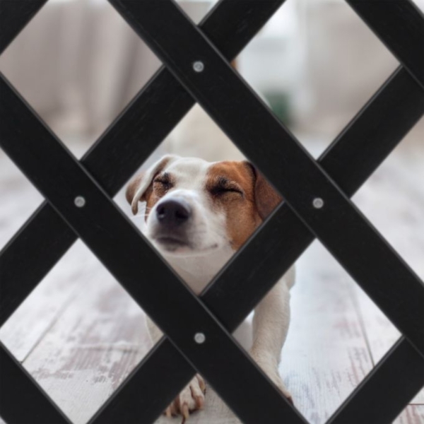 Ausziehbares Hundeabsperrgitter schwarz Bild 5